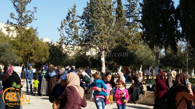 quds a7bab aqsa (11).JPG